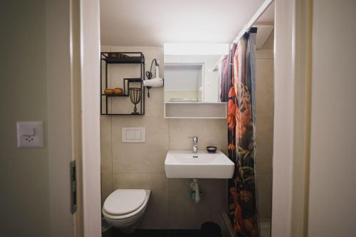 a small bathroom with a toilet and a sink at Appartement de vacances Papillon Stilvoll wohnen im Herzen der historischen Altstadt von Porrentruy in Porrentruy