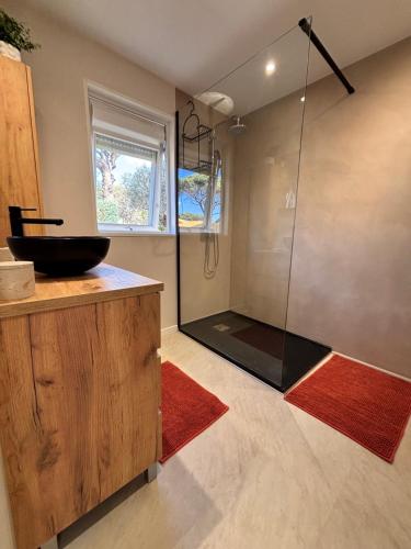 a bathroom with a glass shower with a sink at Chalet Cosy 6 personnes in Gassin