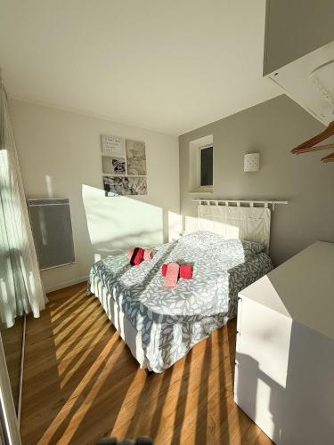a bedroom with a bed with two red pillows on it at L'Ecrin du Verdon - T2 avec Balcon in Gréoux-les-Bains