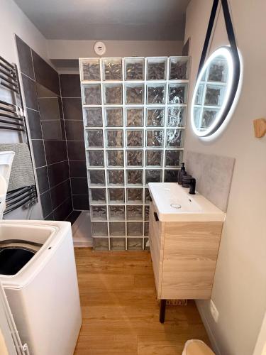 a small bathroom with a sink and a shower at L'Ecrin du Verdon - T2 avec Balcon in Gréoux-les-Bains