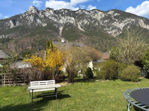 a bench in a field with a mountain in the background at Garden Lodge Minou in Hirschwang