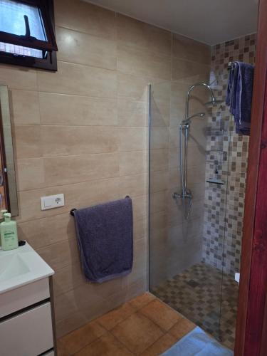 a bathroom with a shower with a blue towel at Wonderland Villa Tierra Fértil Los Gigantes in Santiago del Teide