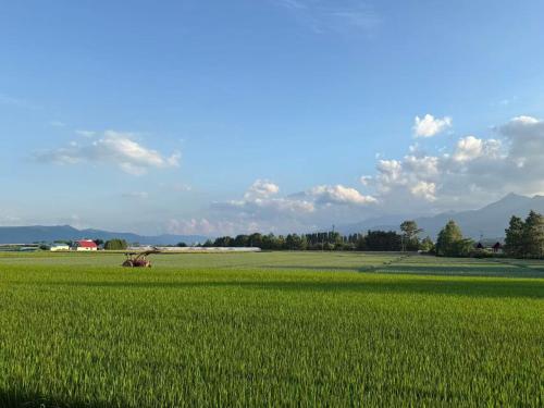 a tractor in a field of green grass at Furano Cozy Whole House for 6 - Near lavender farm and Ski Resort - free parking in Nakafurano