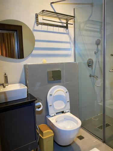 a bathroom with a toilet and a sink and a shower at Greyfield Apartment 1 in Benin City