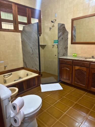 a bathroom with a toilet and a shower and a sink at Pousada Arara in Valença