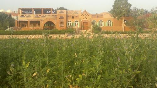 Gallery image of Eskaleh Eco-Lodge in Abu Simbel