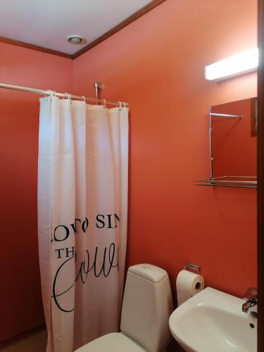 a bathroom with a toilet and a shower curtain at Vatnestrøm kro og Motell in Iveland