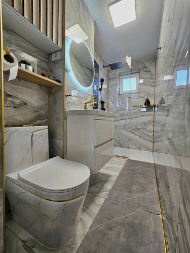 a bathroom with a toilet and a sink at Casa Darius 1 in Alexandria