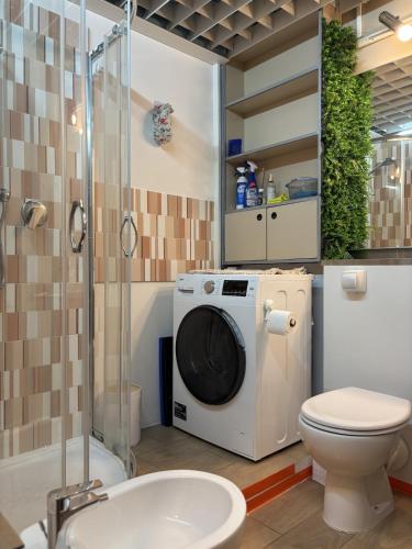 a bathroom with a toilet and a washing machine at The Lookout in Ghiffa
