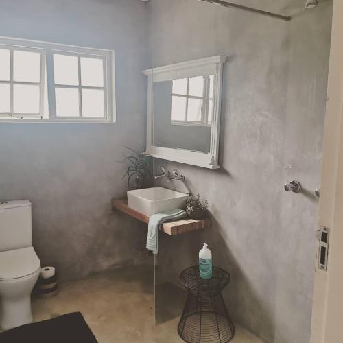 a bathroom with a sink and a toilet and a mirror at Lake Zonk Cottage in Mooiriver