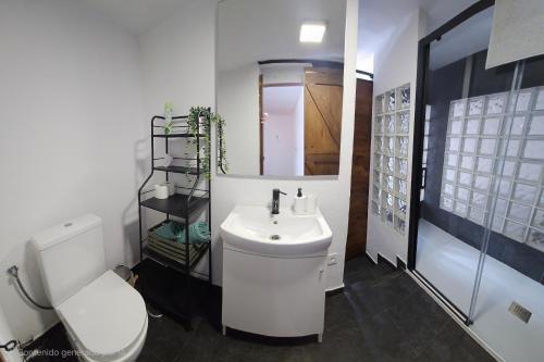 a white bathroom with a toilet and a sink at Cathedral Suite Jaén in Jaén