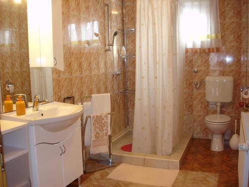 a bathroom with a shower and a sink and a toilet at Apartment Gorska vila in Ogulin