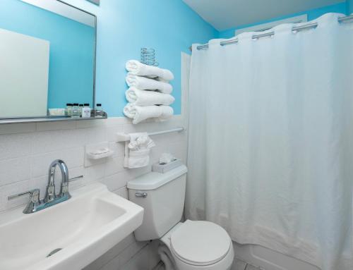 a bathroom with a toilet and a sink and a mirror at The Beach House at Drifting Sands in Ship Bottom