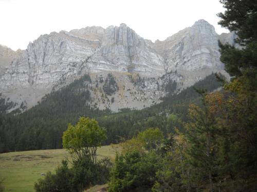a mountain range with trees in front of it at Mas Meya in Puigcerdà