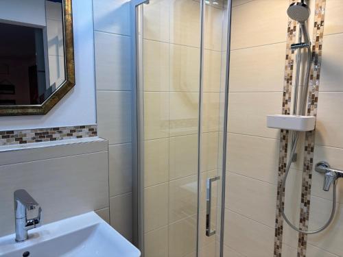 a bathroom with a shower and a sink at Ferienwohnung Raabenhorst in Oettingen in Bayern