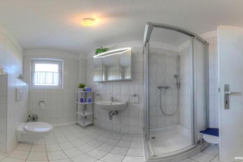 a bathroom with a shower and a toilet and a sink at Wohnung Jolmes in Dahme