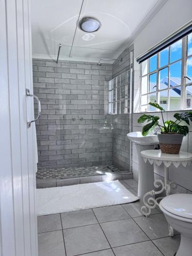 a bathroom with a shower with a toilet and a sink at Scafell homestead, Cobham, Himeville in Ixopo