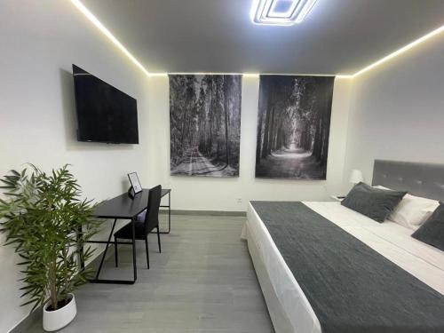 SUARA Apartamentos 1