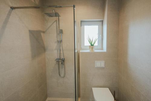 a bathroom with a shower with a toilet and a window at Villa Saint Hill in Međugorje
