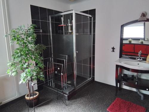 a bathroom with a glass shower and a sink at D'n Engel in Sittard