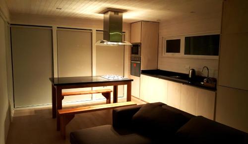 a small kitchen with a table in a room at Endemiko in Malalcahuello