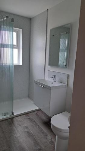 a bathroom with a toilet and a sink and a shower at Rock Quay in Killyleagh