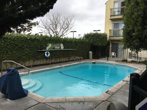 Πισίνα στο ή κοντά στο Sand Dollar Inn