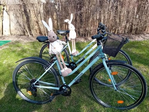 two stuffed rabbits are attached to a bike at BékaLak Vendégház in Ráckeve