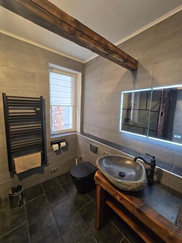 a bathroom with a sink and a toilet at Appartement Neckartal in Hirschhorn