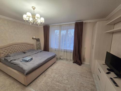 New 1-Bedroom Luxury Apartments Central