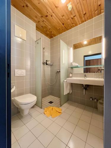 a bathroom with a toilet and a shower and a sink at Vitalhotel Quellengarten - Bed & Breakfast in Lingenau