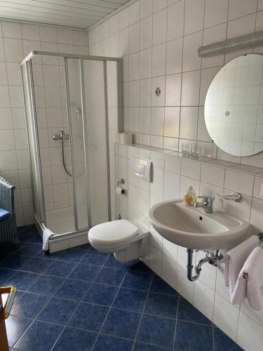 a bathroom with a toilet and a sink and a shower at Landgasthof Brandtner Wirt in Langdorf