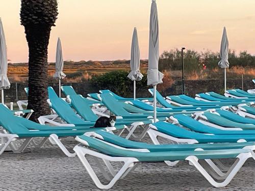 Eyes on Sea - Cabanas de Tavira