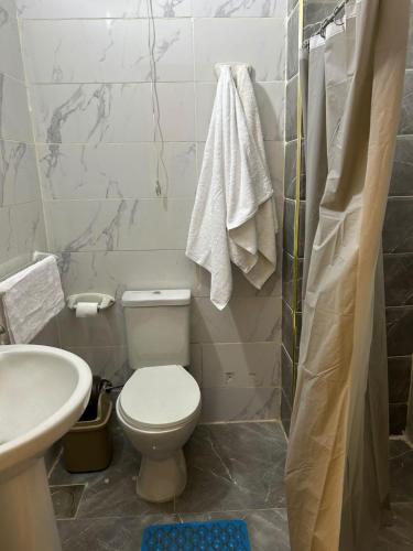 a small bathroom with a toilet and a sink at Monument Pyramids View in Cairo