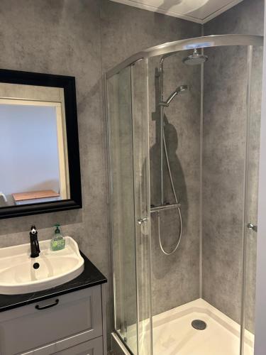 a bathroom with a shower and a sink at De Hocht in Nes