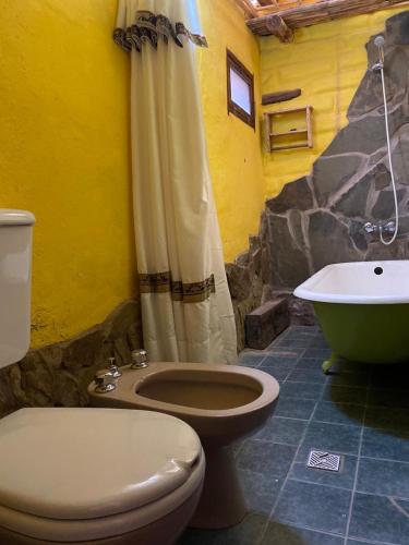 a bathroom with a toilet and a bath tub at Luna Huasi Posada in Maimará