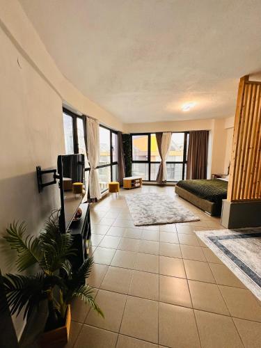 a living room with a couch and a tv at Plaza di Drama in Drama