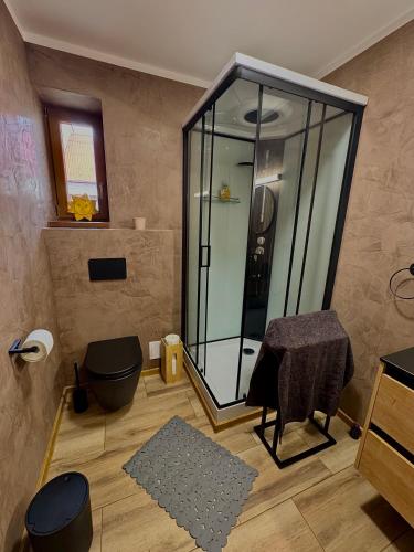 a bathroom with a shower with a toilet and a stool at Penzion Bašta in Bílina