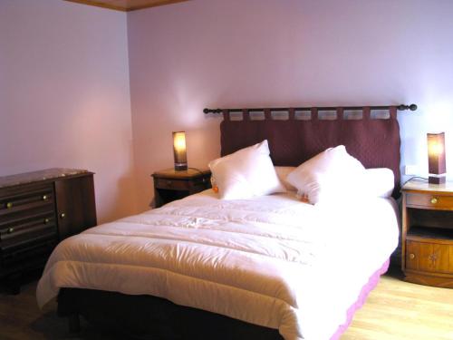 a bedroom with a bed with two night stands and two lamps at Chez clÉmentine in Antheny