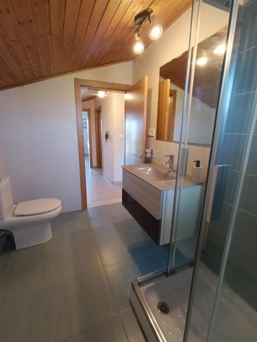 a bathroom with a toilet and a sink and a shower at Casa María 3 in Barcia