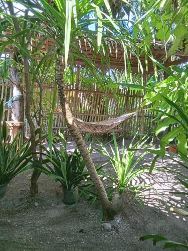 a hammock hanging from a tree in a garden at Bebot's Breakfast #01 in Daanbantayan