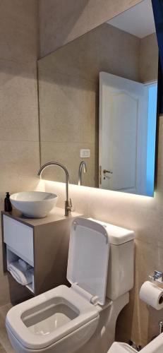 a bathroom with a white toilet and a sink at GyC Laguna Resort in Chascomús