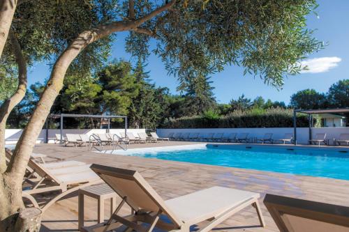 a pool with chaise lounge chairs and a tree at VTF Village de vacances Le Domaine d'Agde in Agde