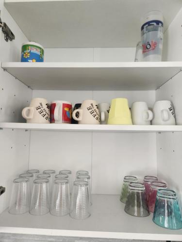a shelf full of cups and mugs in a refrigerator at Villa chez Fred in Le Quesnoy