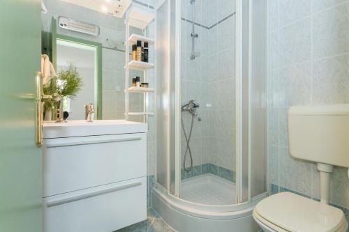 a bathroom with a shower and a toilet and a sink at Villa Florence - Mediterranean GardenPool in Zaton