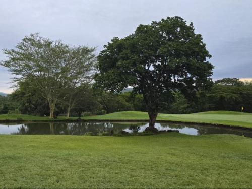 a tree on a golf course with a pond at Kruger park lodge 503 in Hazyview