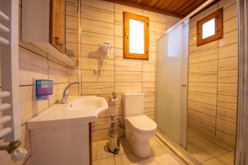 a bathroom with a toilet and a sink at Birol Sengun Bag Evi in Safranbolu
