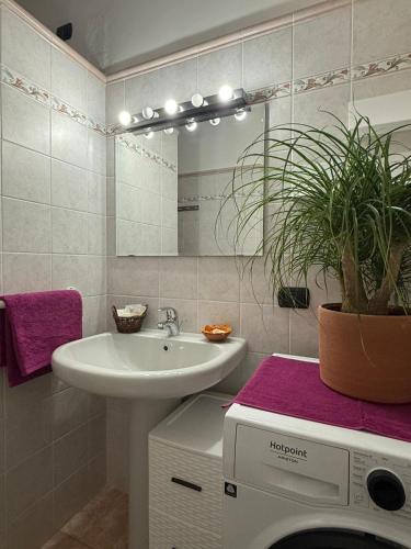 a bathroom with a sink and a washing machine at Casa Alba sul Lago in Dervio