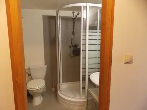 a bathroom with a shower and a toilet and a sink at carpedieme in Horní Brusnice
