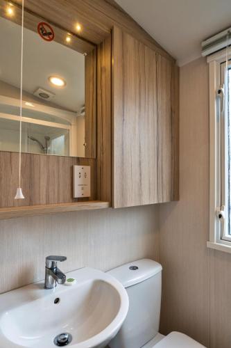 a bathroom with a sink and a mirror and a toilet at Finest Retreats - Pine Forest Lodge in Saint Enoder